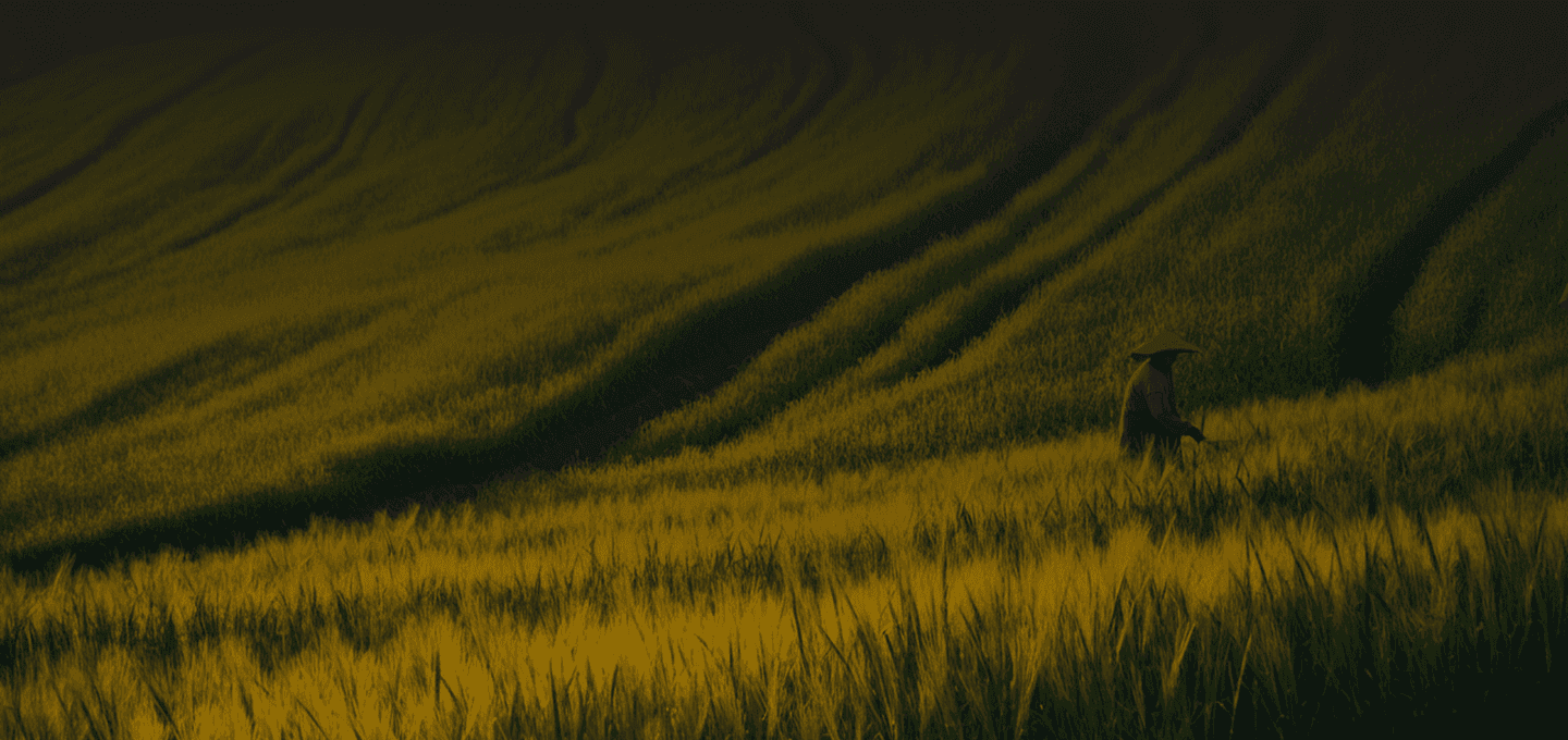 Image without alt